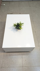 ELEGANT MODERN CENTER TABLE – STYLE MEETS STORAGE!
