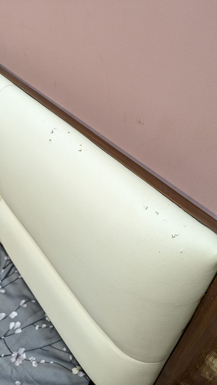 Low Height king Size Bed Set