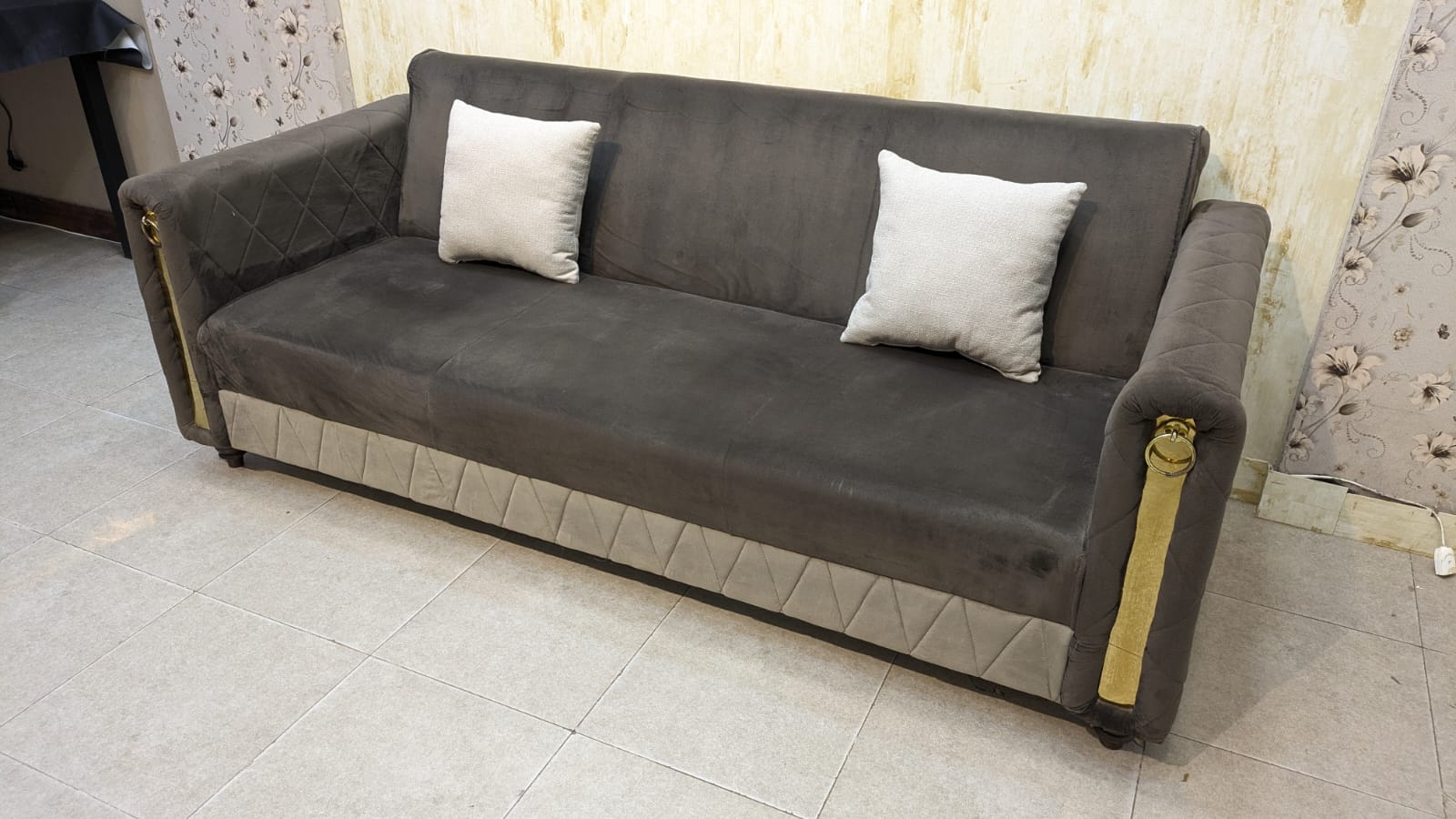 Sofa Cum Bed