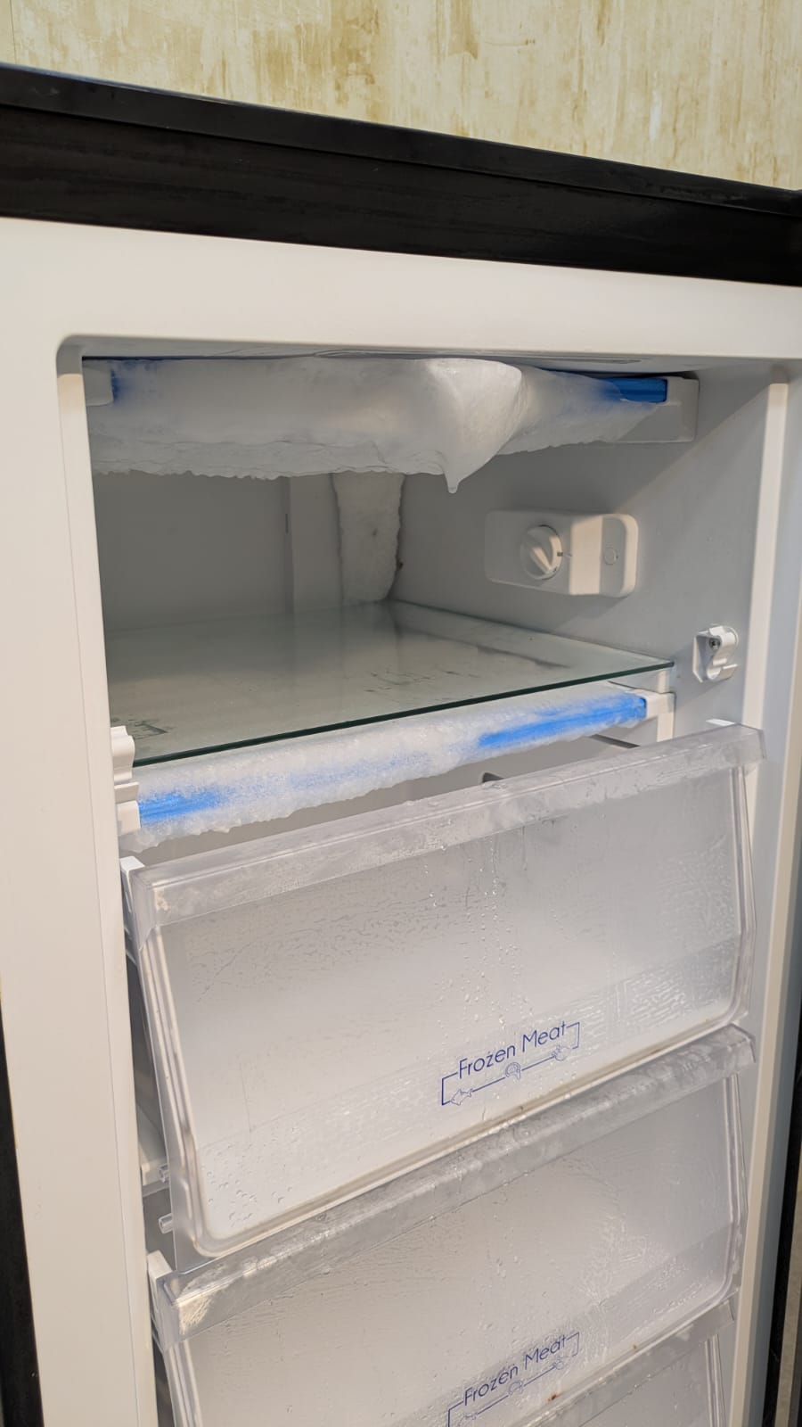 PEL Vertical Deep Freezer