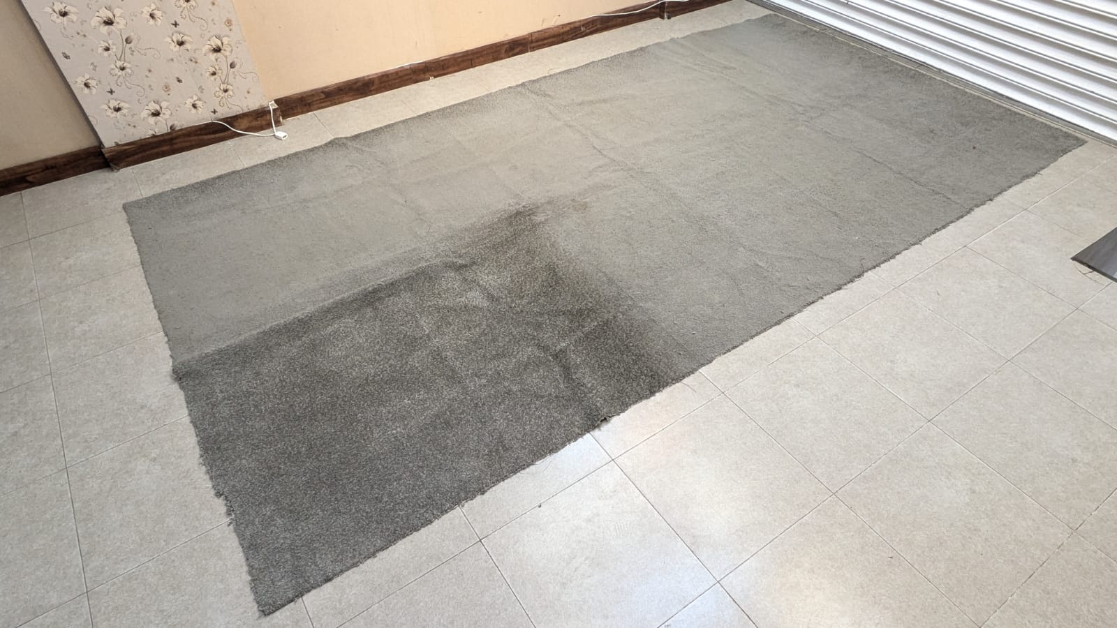 Wall to Wall Carpet