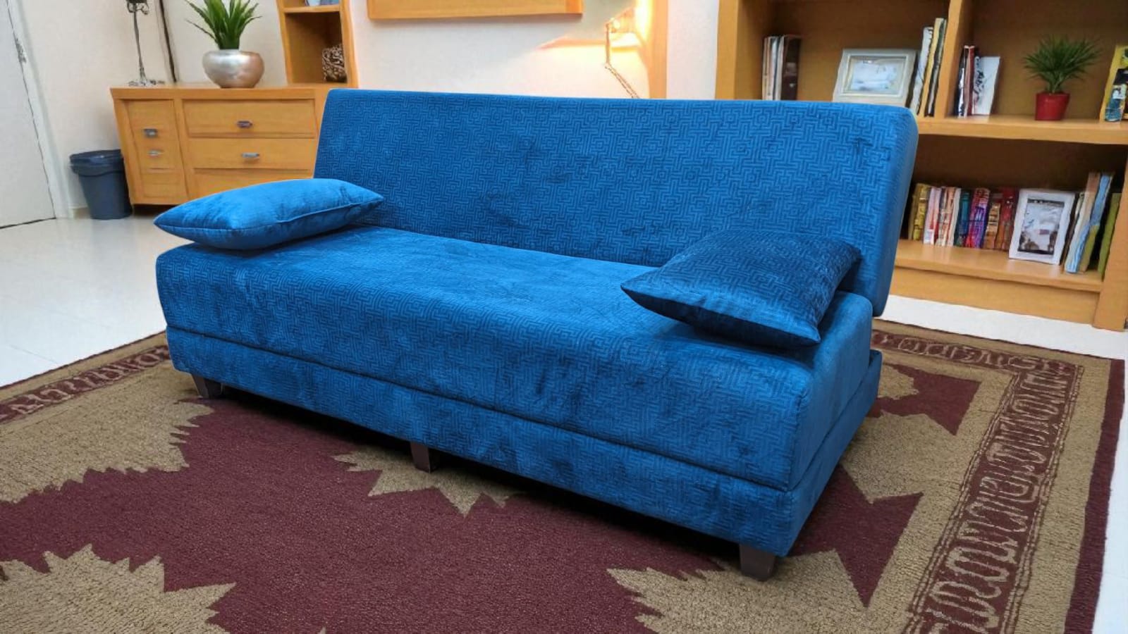 DivineCrafts Sofa Cum Bed