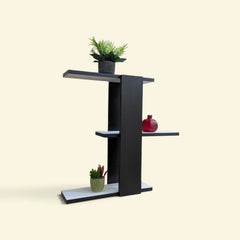 Wall mounted display shelf
