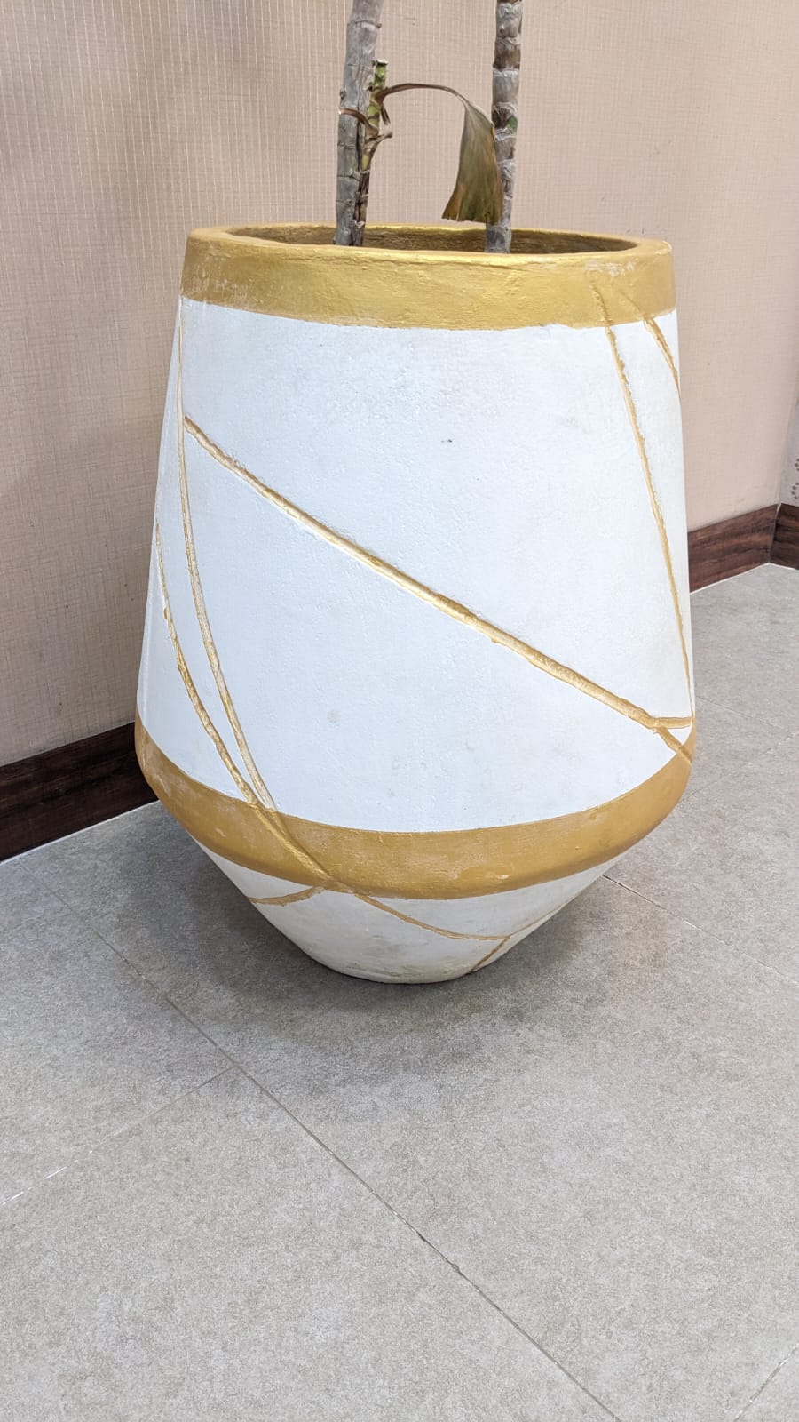 Planter with Live Plant