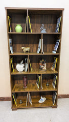 Brand New Book Shelf
