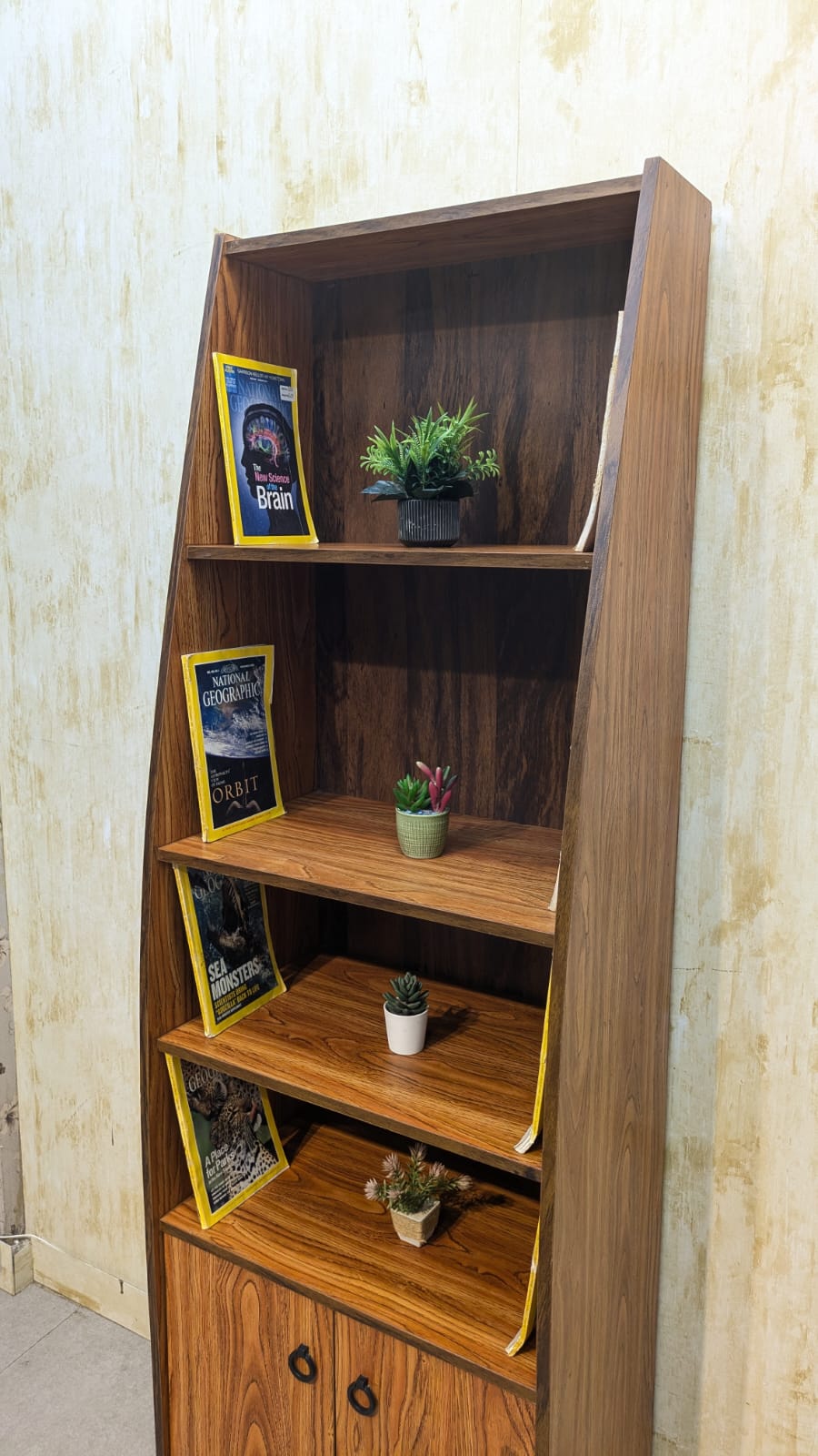 Brand New book shelf