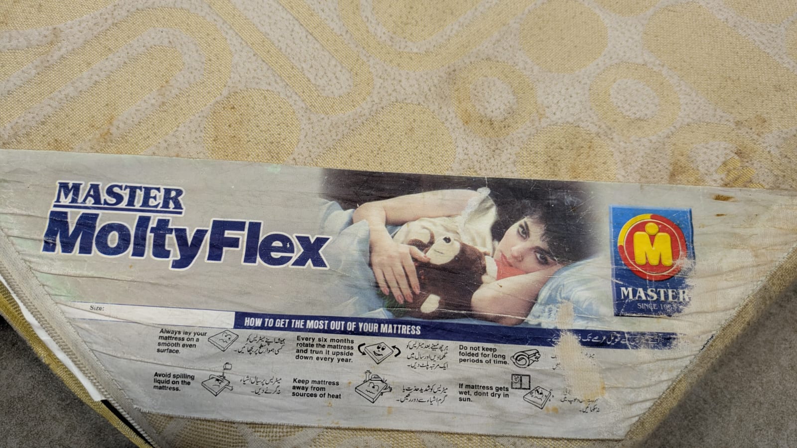 Master Molty Foam Flex Mattress