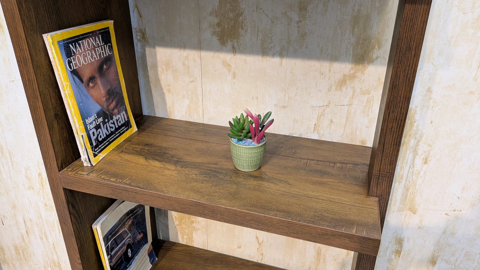 Brand New Display Shelf