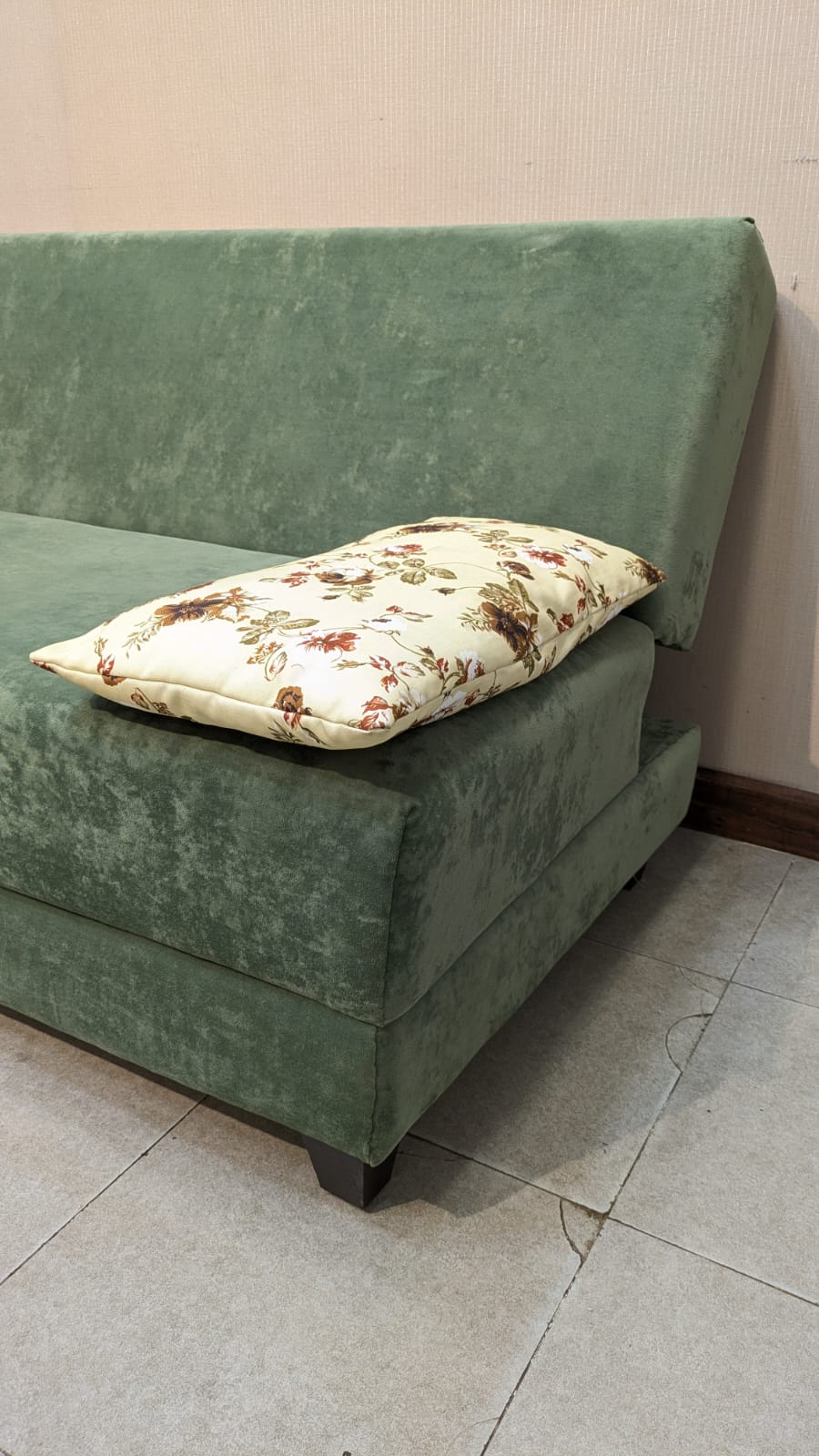Sofa Cum Bed