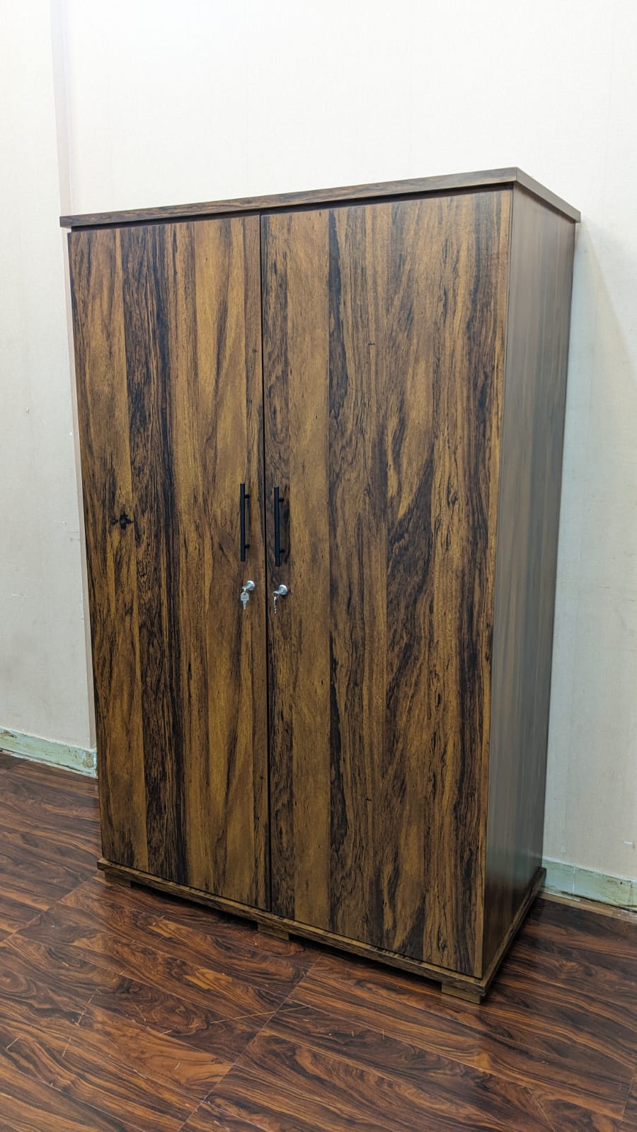 DivineCrafts New 2 Door Almirah