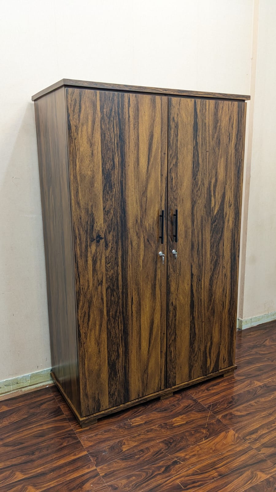 DivineCrafts New 2 Door Almirah