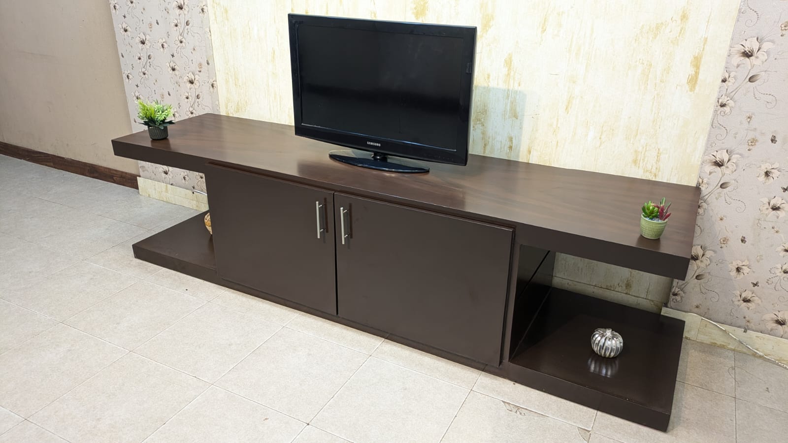 Elegant TV Unit