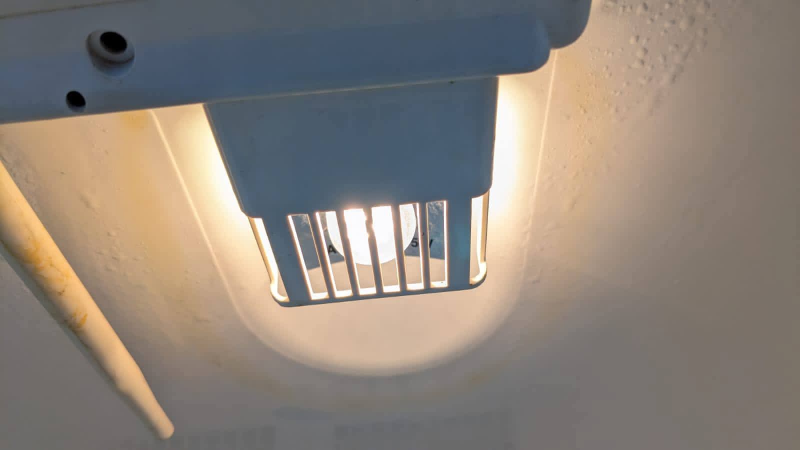 Imported Vertical Freezer