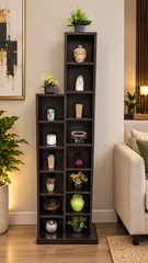 Display Shelf