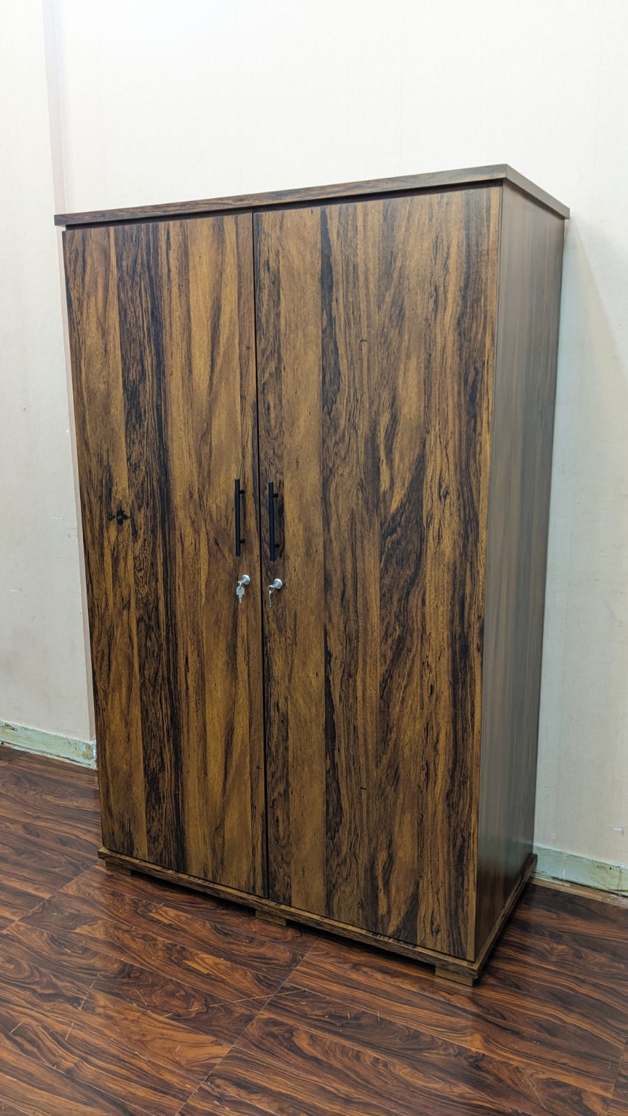 DivineCrafts New 2 Door Almirah