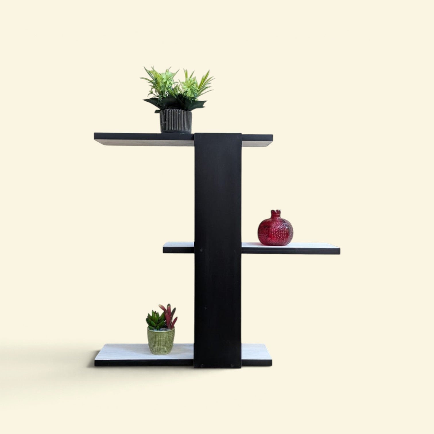 Wall mounted display shelf