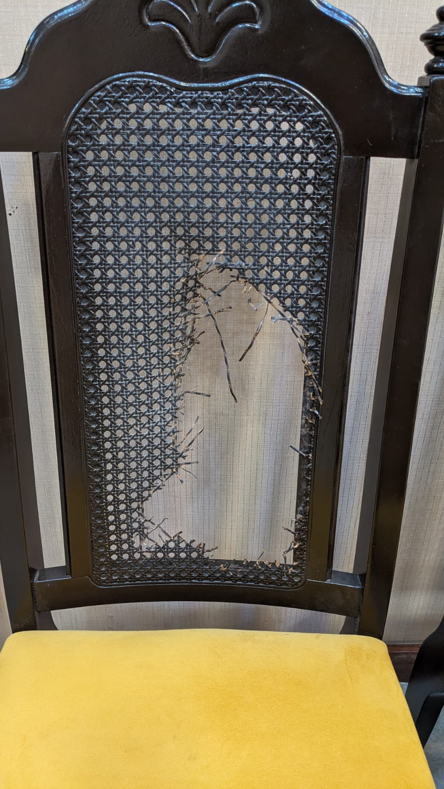 Imported USA 6 Dining Chairs