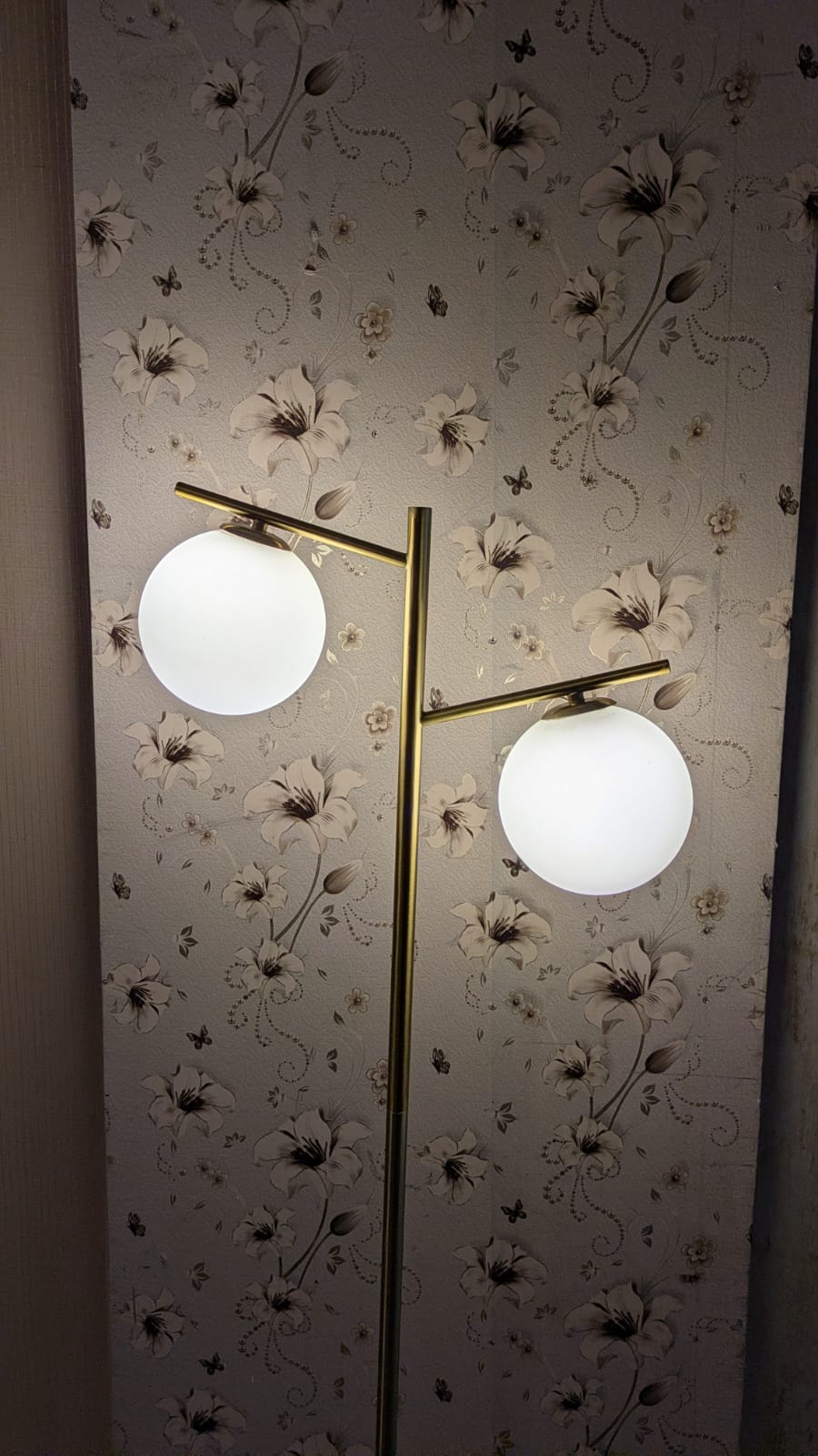 Elegant Modern Double-Globe Floor Lamp