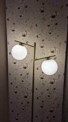 Elegant Modern Double-Globe Floor Lamp
