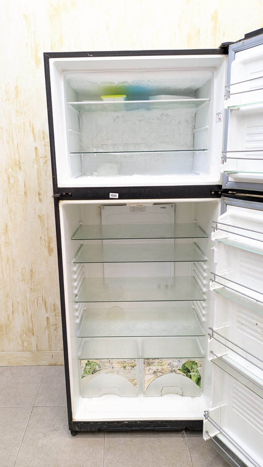 Dawlance Signature Inverter Refrigerator