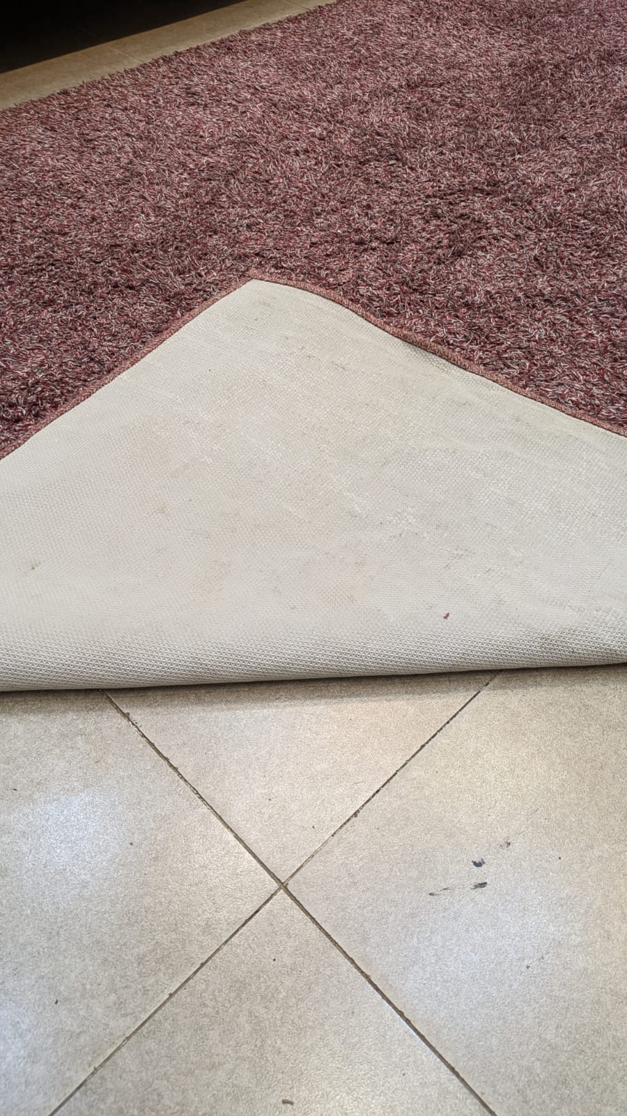 Machine Made Carpet ✨