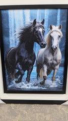 New Wall Mounted Frame  Spirit Of Freedom