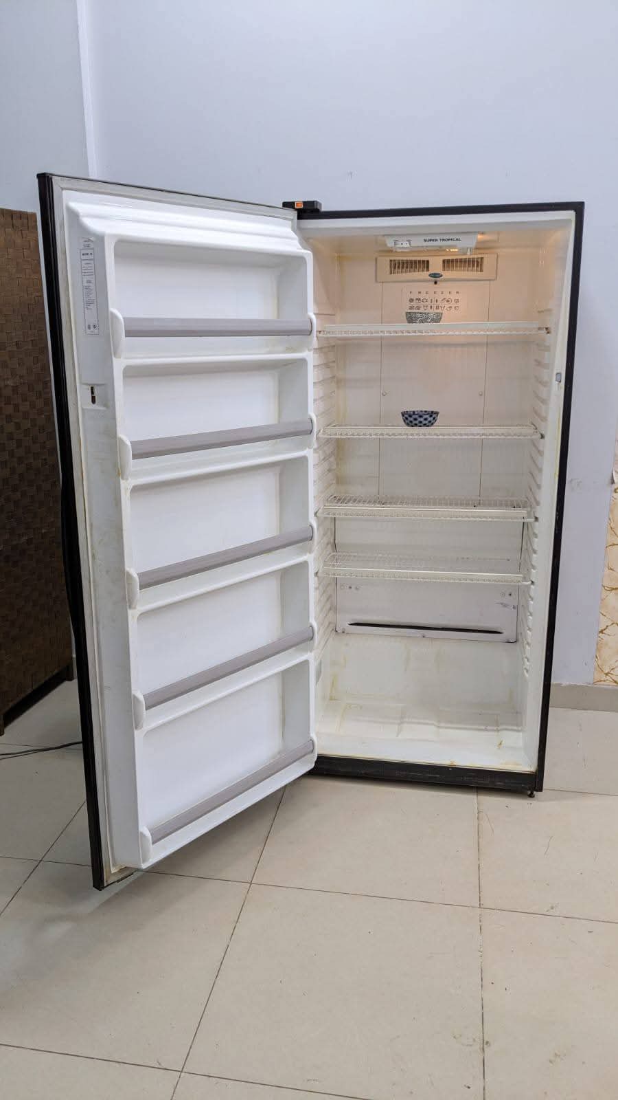 Imported Vertical Freezer