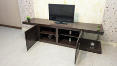 Elegant TV Unit
