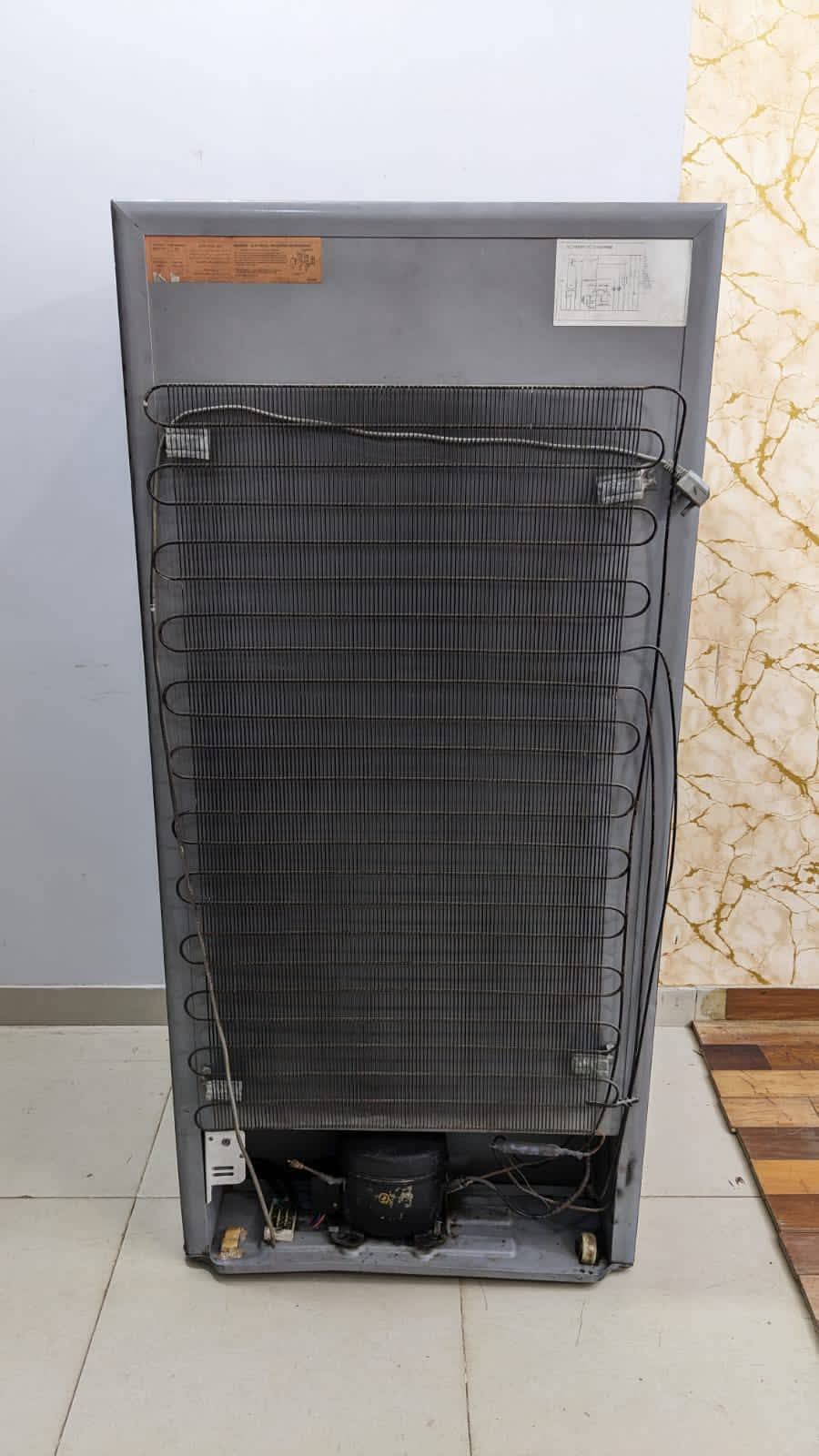 Imported Vertical Freezer