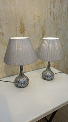 Imported Elegant Table lamps pair