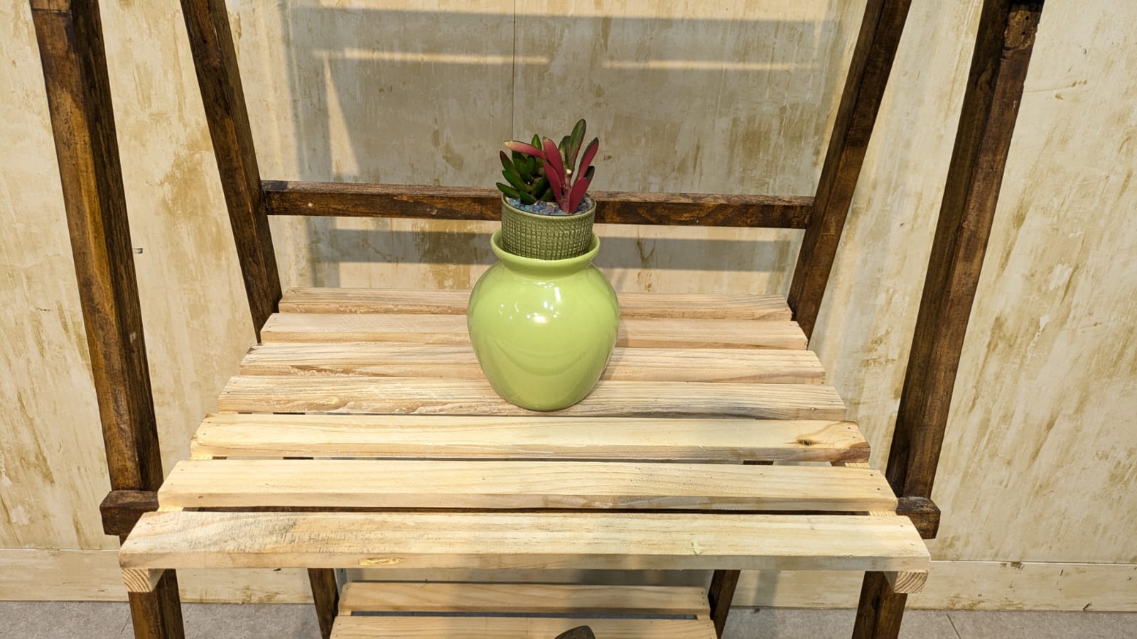 Brand New Foldable Pure wooden display shelf
