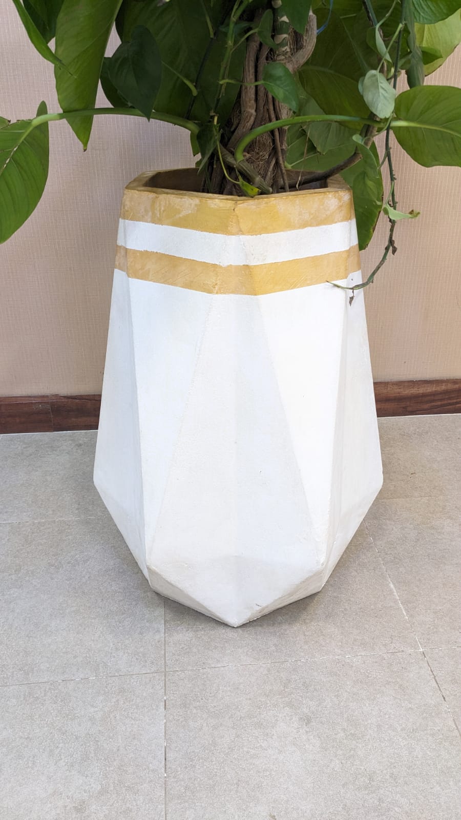 Planter with Live Plant