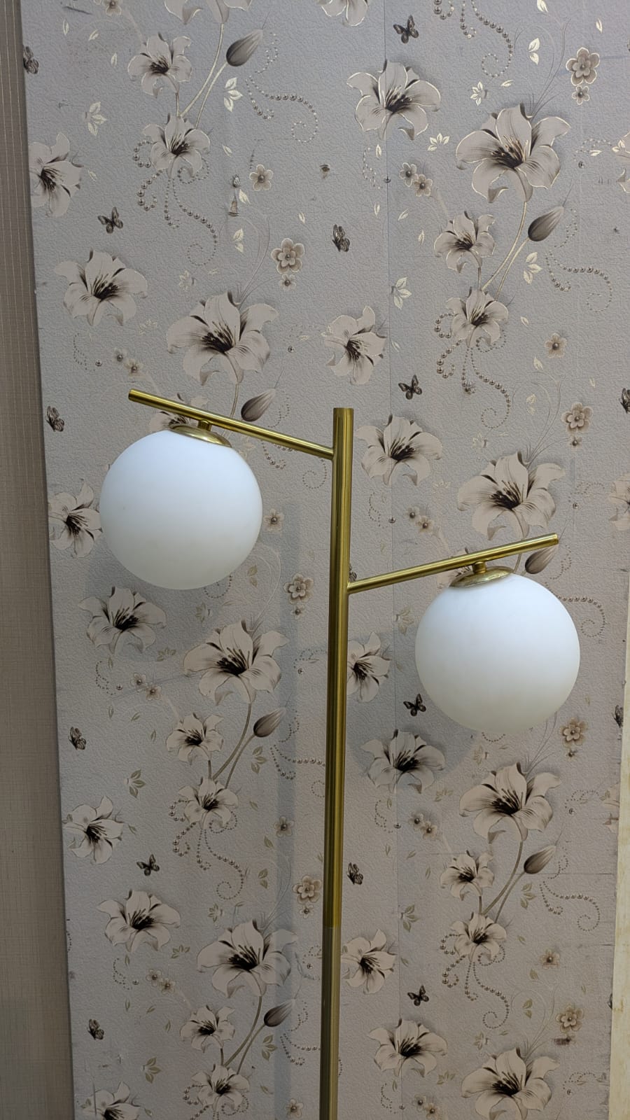 Elegant Modern Double-Globe Floor Lamp
