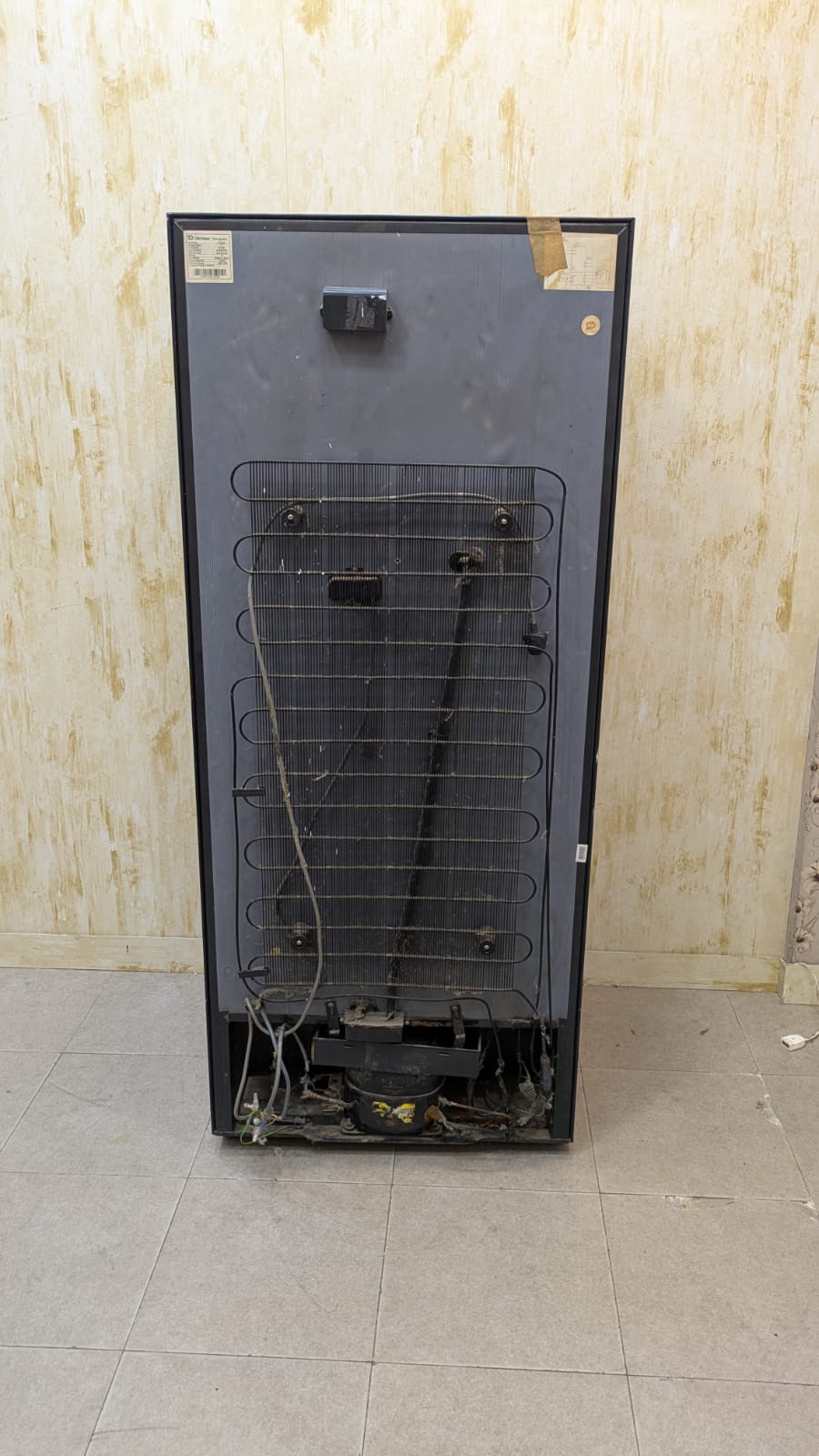 Dawlance Signature Inverter Refrigerator