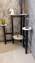 Display Shelve