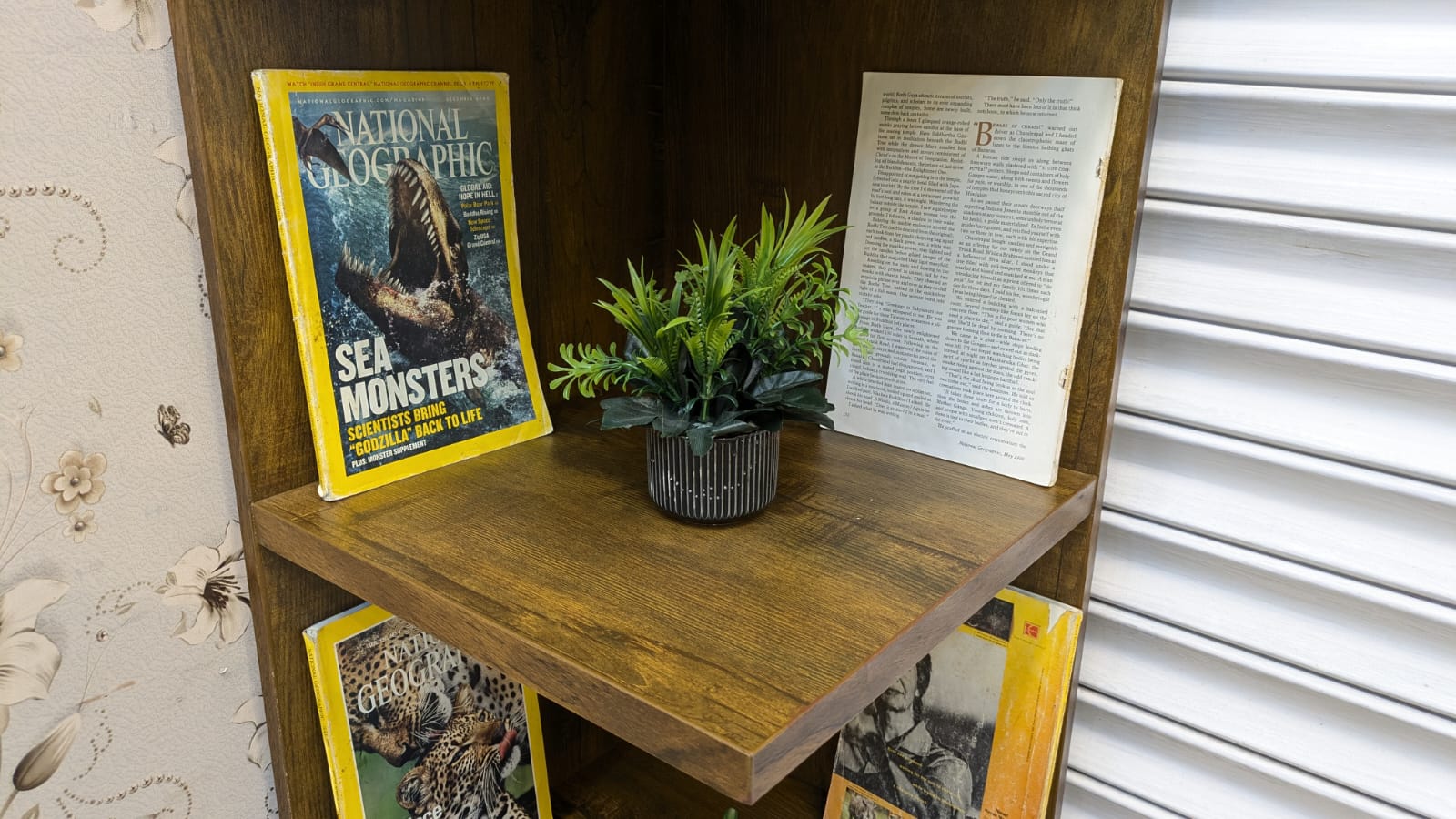 Brand New Corner Book Shelf