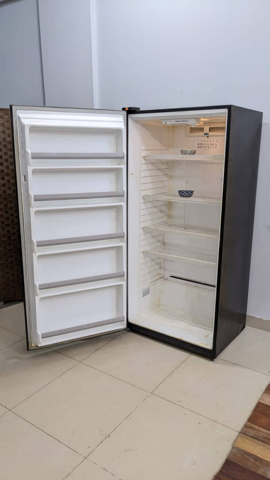 Imported Vertical Freezer