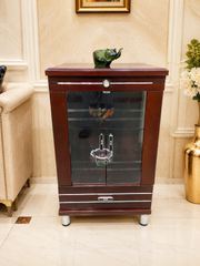 Imported Multipurpose Display Cabinet