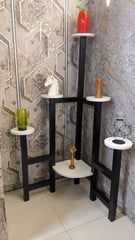 Display Shelve