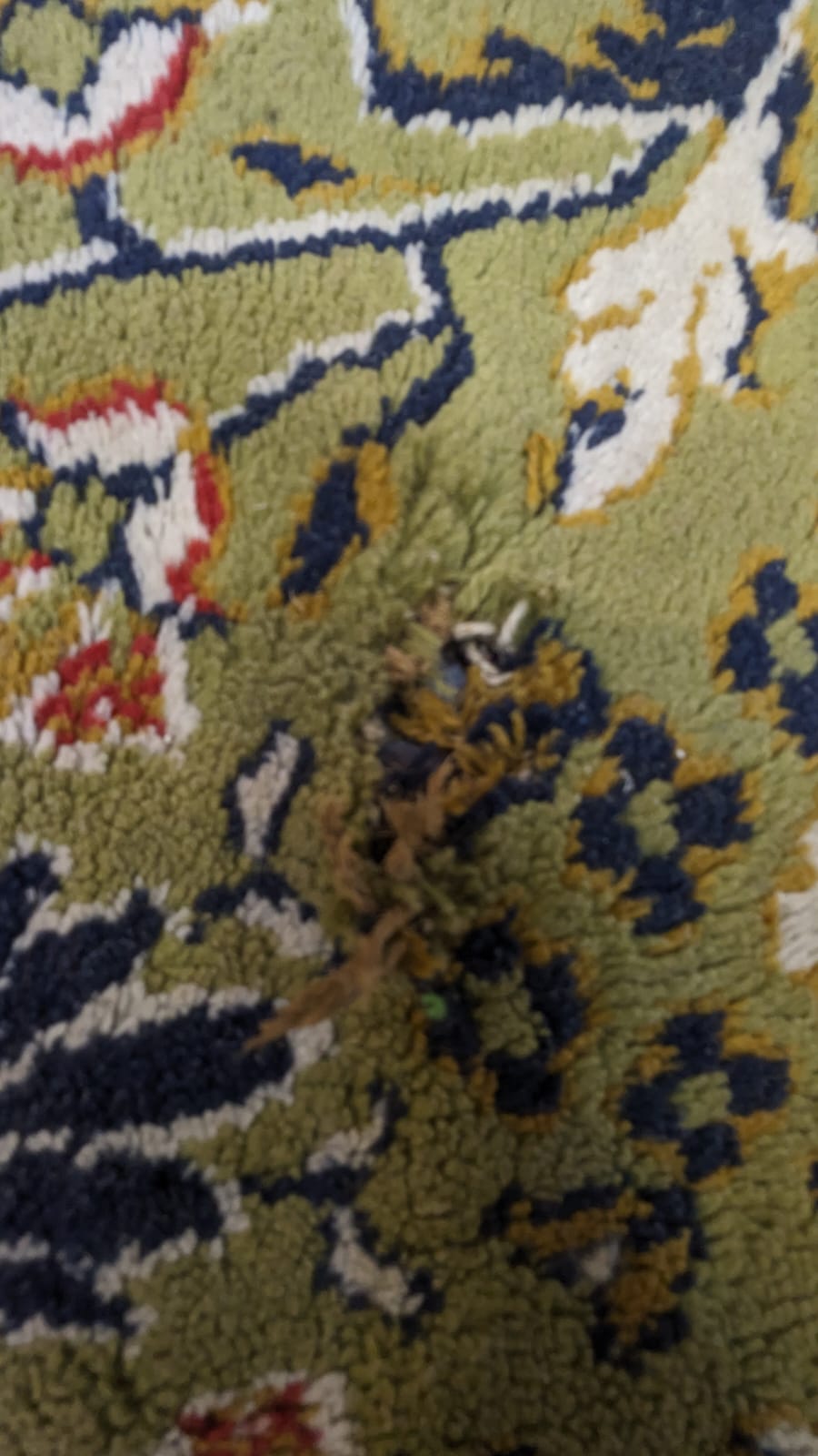 Carpet