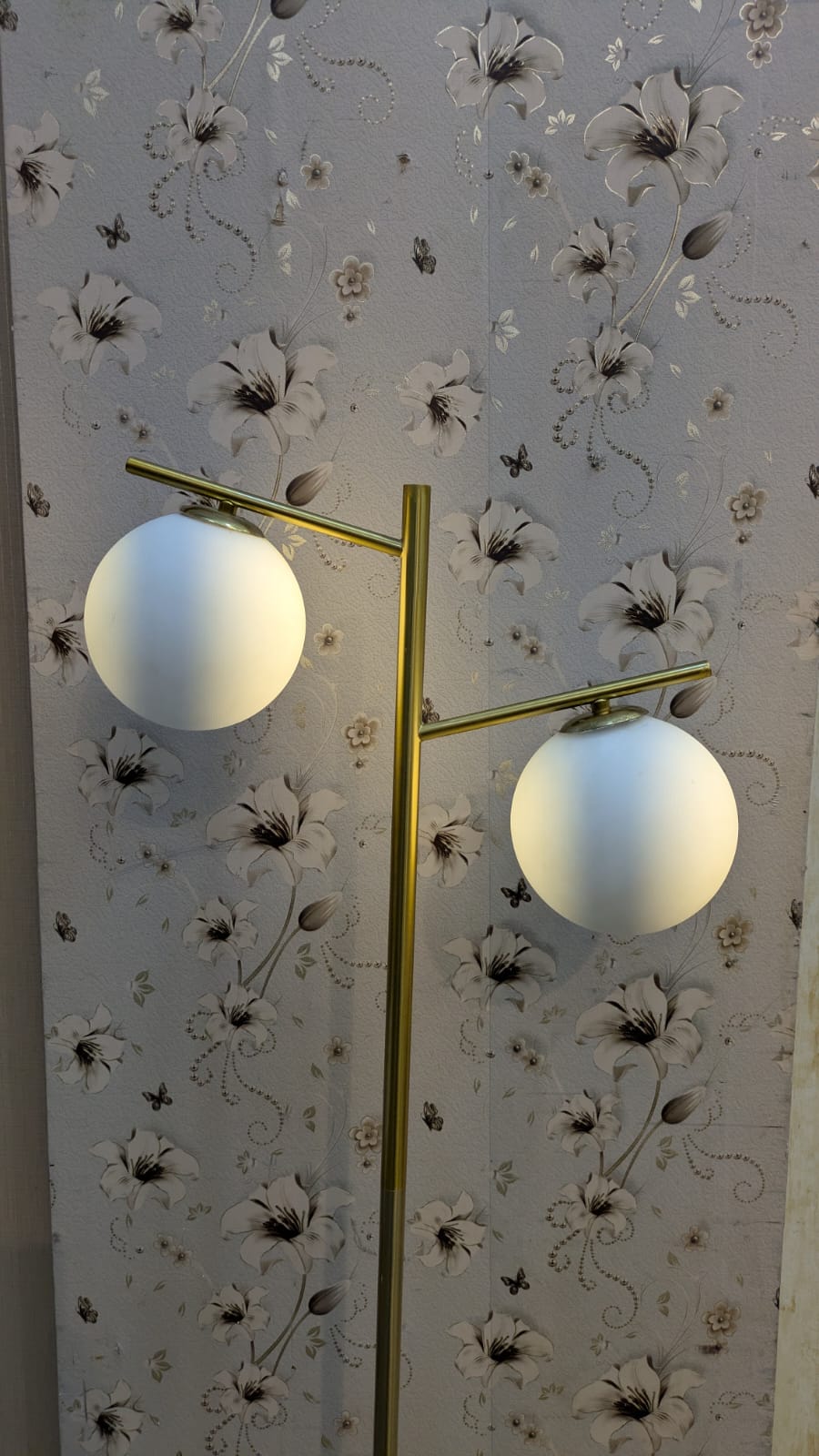 Elegant Modern Double-Globe Floor Lamp