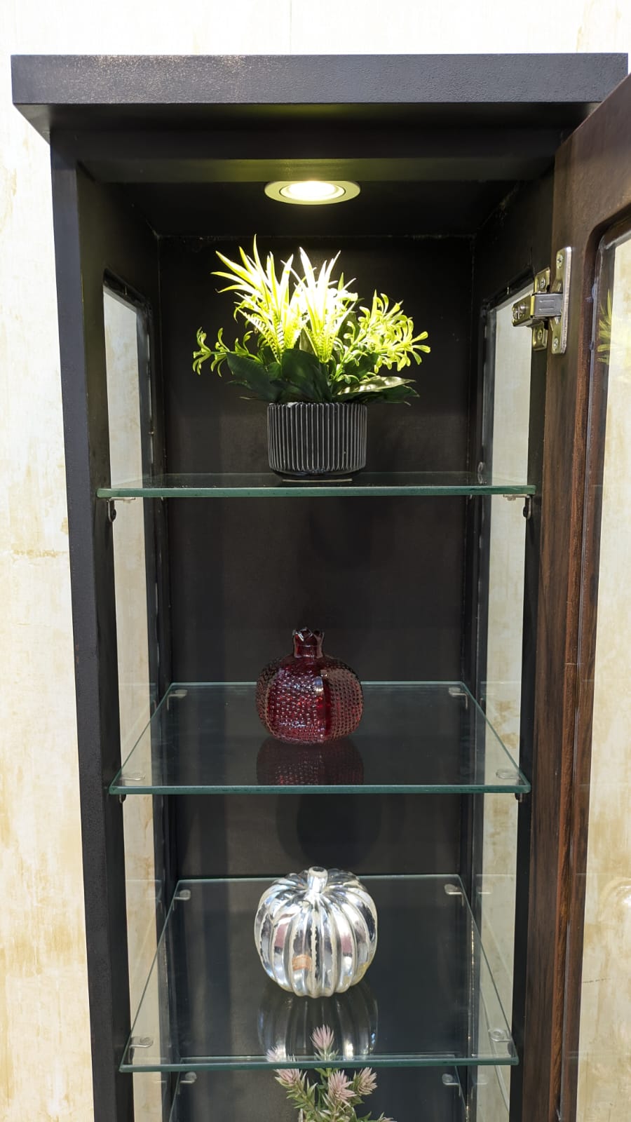Brand New Display shelf