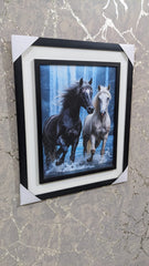 New Wall Mounted Frame  Spirit Of Freedom