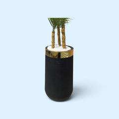 Brand New planter