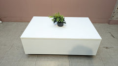 ELEGANT MODERN CENTER TABLE – STYLE MEETS STORAGE!
