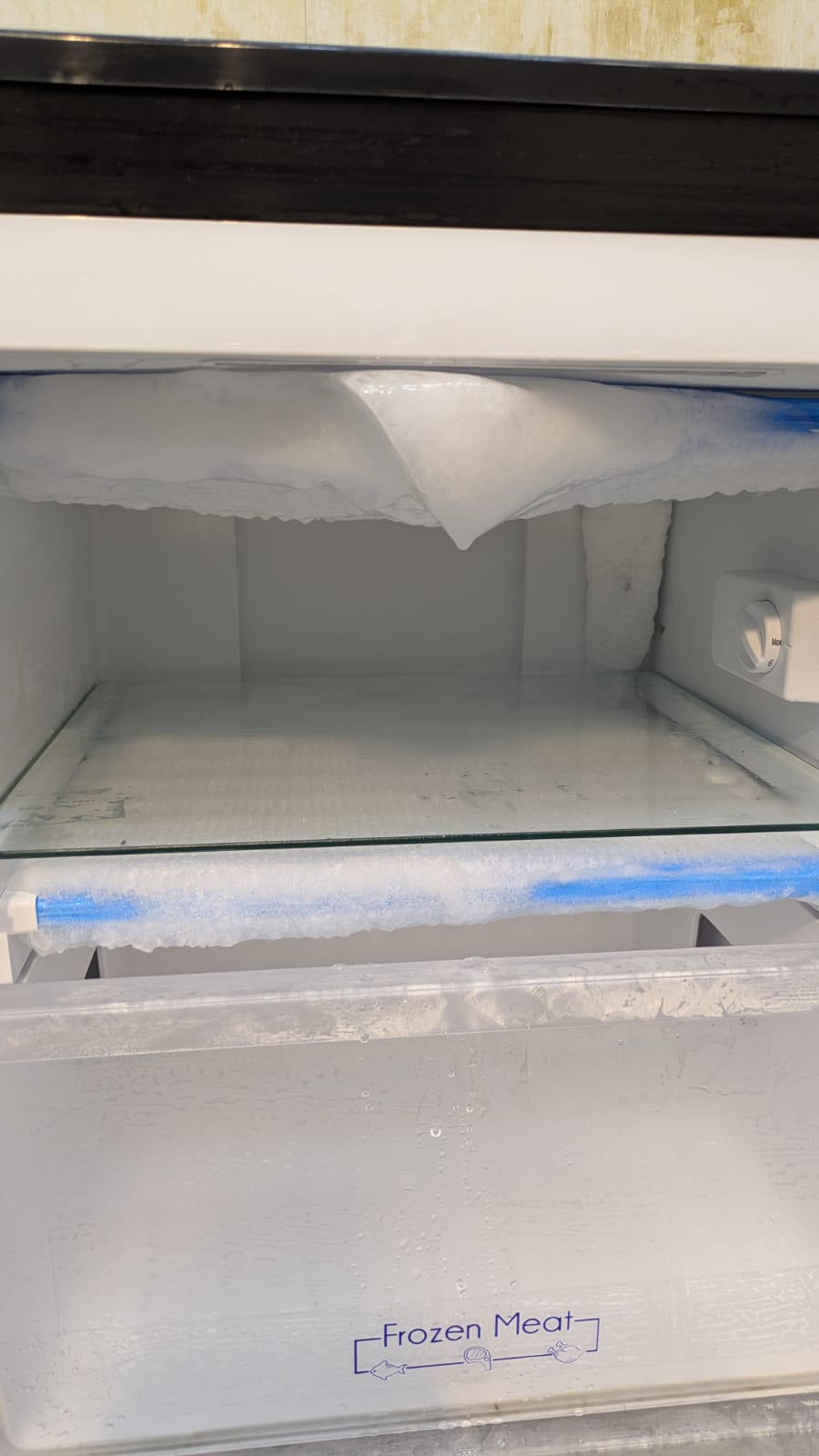 PEL Vertical Deep Freezer