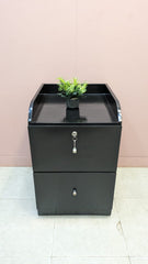 Stylish pedestal Drawer