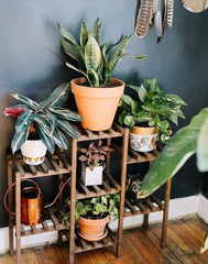 Brand New Wooden Tiered Display Rack
