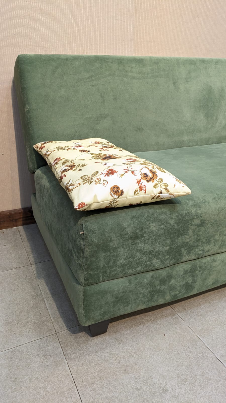 Sofa Cum Bed