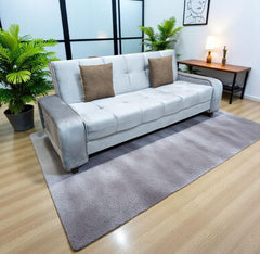Sofa Cum Bed